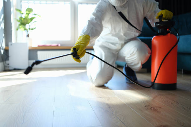 Best Commercial Pest Control Services  in Laughlin, NV