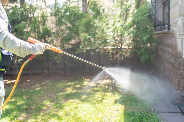 Trusted Laughlin, NV Pest Control Experts